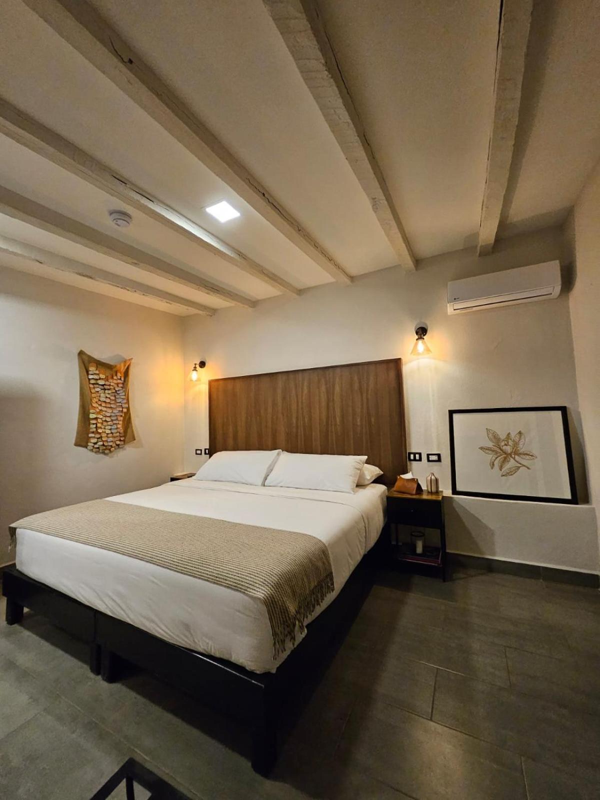 Hotel Maria Bonita サン・ミゲル・デ・アジェンデ エクステリア 写真