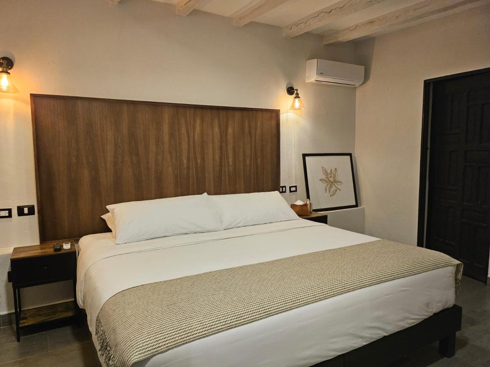 Hotel Maria Bonita サン・ミゲル・デ・アジェンデ エクステリア 写真